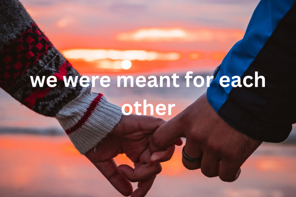 we were meant for eachother - eLanka