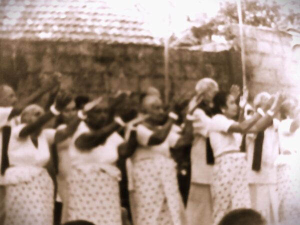 මිහිරිගම කුලදෙටු සෙවනේ