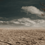 ECOLOGICAL DEVASTATION. - eLanka