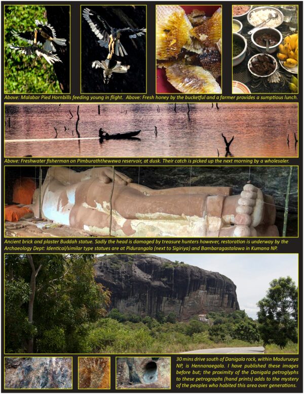 Mysterious Petroglyphs at Danaigala semicircular rock