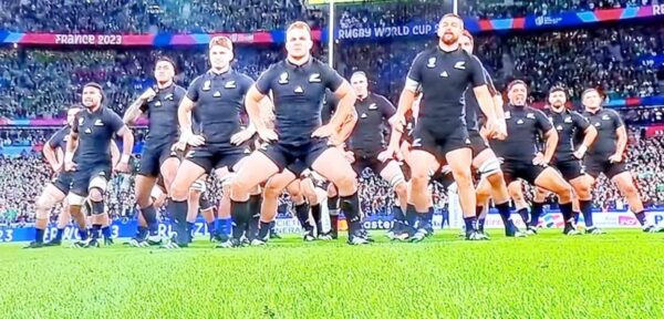 All Blacks and Springboks likely finalists but Pumas and England will be no pushovers. - BY TREVINE RODRIGO IN MELBOURNE.  (eLanka Sports editor) - eLanka