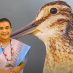 Kaleidoscope with Savithri Rodrigo 179 - eLanka