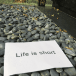 Life is Short