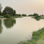 Mahaweli River