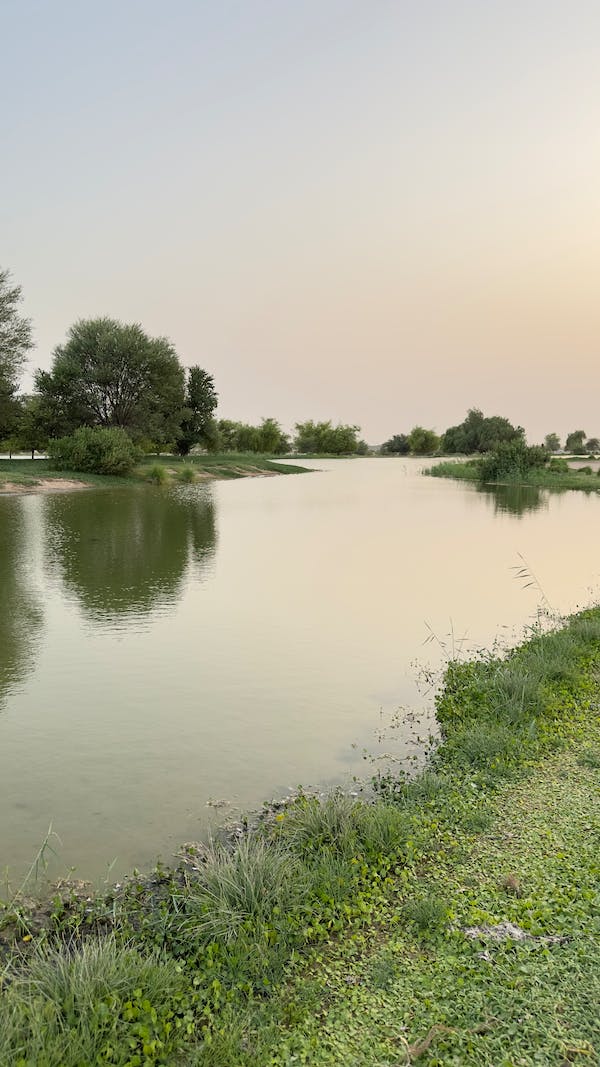 Mahaweli River