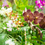 Royal Botanical Gardens