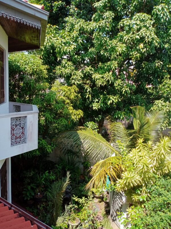 Beautiful Double Story house built on 8.5 perches land Colombo 5 - eLanka