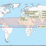 Nanocrystal-induced chronic tubular-nephropathy in tropical countries diagnosis, mitigation, and eradication