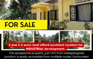 Seven Acres of Prime Land at Hadapangoda-Horana – Ideal for Industrial Development!