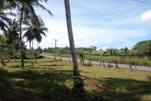 Seven Acres of Prime Land at Hadapangoda-Horana 