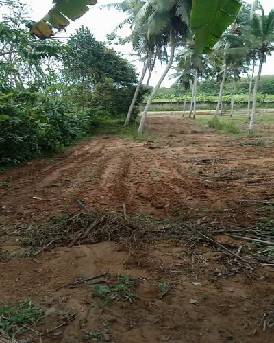 Seven Acres of Prime Land at Hadapangoda-Horana - Ideal for Industrial Development!