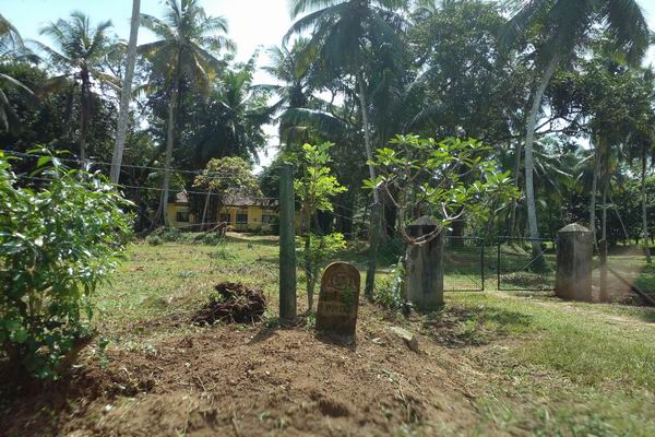 Seven Acres of Prime Land at Hadapangoda-Horana - Ideal for Industrial Development!