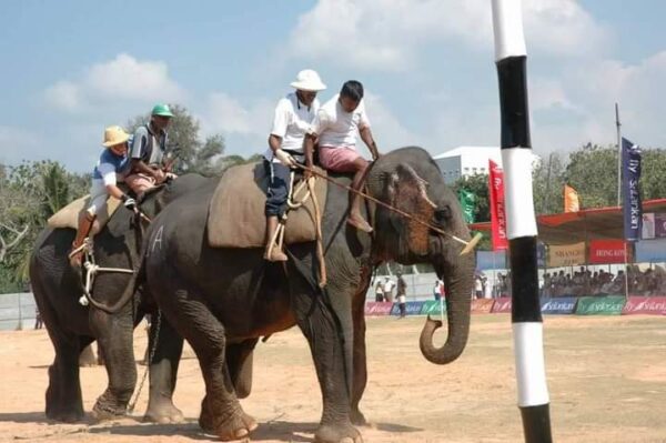 Brave Seargent Wimal Jayasekera reminisced, deprived of promotions as he was too talented and skilled disliked by the top Police personnel