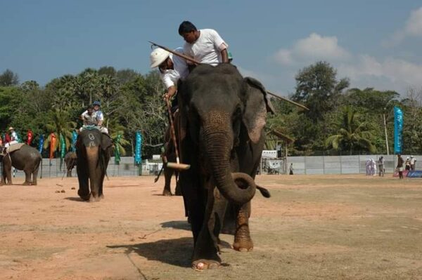 Brave Seargent Wimal Jayasekera reminisced, deprived of promotions as he was too talented and skilled disliked by the top Police personnel
