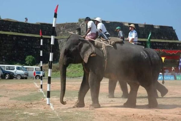 Brave Seargent Wimal Jayasekera reminisced, deprived of promotions as he was too talented and skilled disliked by the top Police personnel