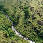 CLIMBING HANTHANA BY LALITH ANTHONEY PERERA WITH NIGHTINGALES