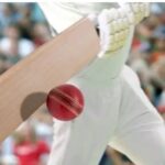 CRICKET LOVELY CRICKET-eLanka