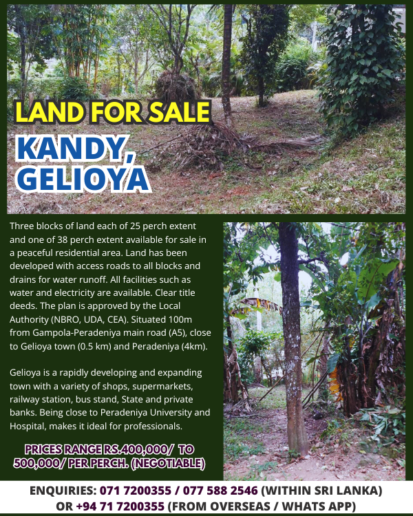 Land for sale Kandy, Gelioya (6)