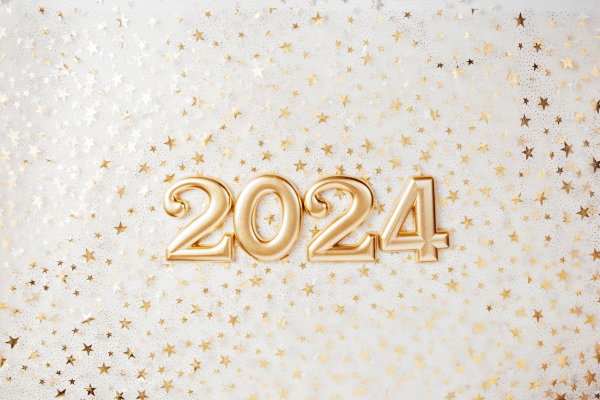 SUNDAY CHOICE - Let this message be your Anchor of Trust for 2024 - By Charles Schokman - eLanka