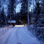 AWAY IN A MANGER – Christmas Card