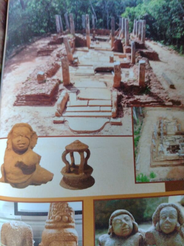 කැනීම්වලදී හමුවූ සෙසු පුරාවසතුන්