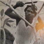 LIONEL WENDT, COUNT DE MAUNY, DAVID PAYNTER, AND RAMAN – By HUGH KARUNANAYAKE