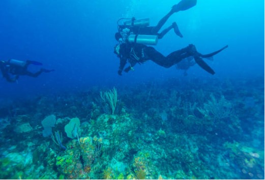 Scuba Diving Kalpitiya dive center-eLanka 02