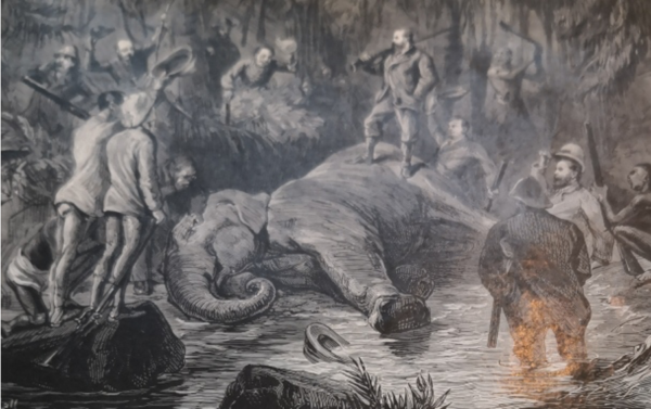THE PRINCE OF WALES STANDING ON THE DEAD ELEPHANT