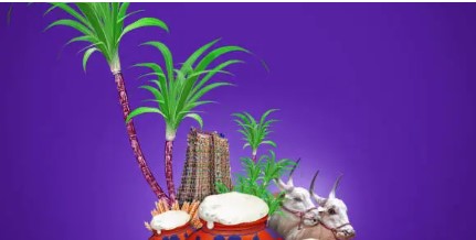 Thai Pongal-eLanka