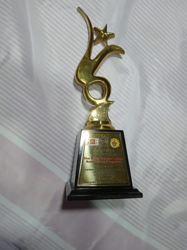 WATER CUSHION MANUFACTURER AWARD WINNING CHANDANA MUHANDIRAM PROPRIETOR OF BLUE WATER MATTRESS – by Sunil Thenabadu