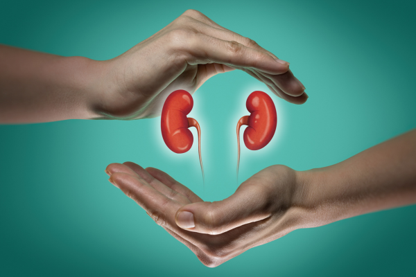 Taking care of your kidney health is important. – By  Dr harold Gunatillake