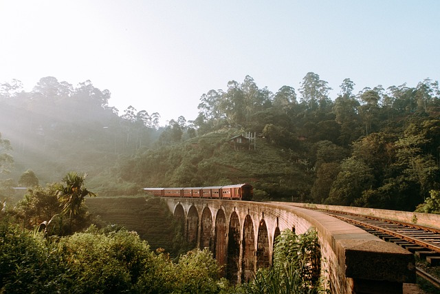 The Majestic Marvel: Exploring the Rich History of Sri Lanka's Nine Arches Bridge