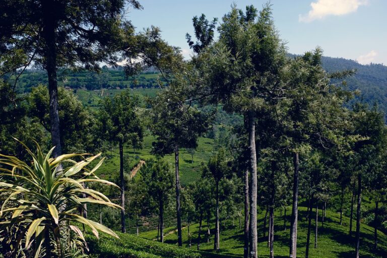 THE PROPRIETARY PLANTER -AN EXTINCT-by Hugh Karunanayake