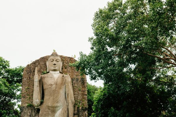 Avukana Buddha: Serenity Carved in Stone, Grace Embodied in Sri Lanka – By Nadeeka – eLanka