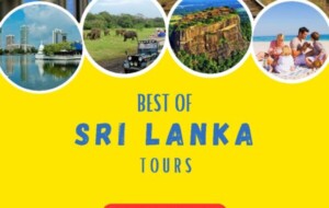 BEST OF SRI LANKA TOURS