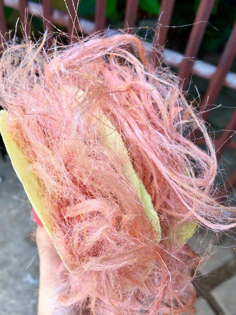 Ceylon Then / Sri Lanka Now!