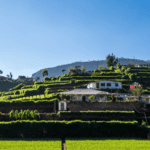 Ramboda Valley