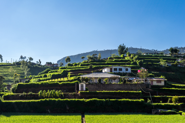 Ramboda Valley