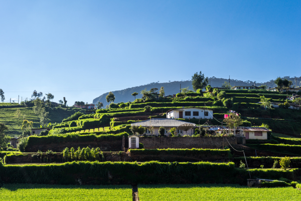 Ramboda Valley: A Tranquil Retreat in the Heart of Sri Lanka – By Nadeeka – eLanka