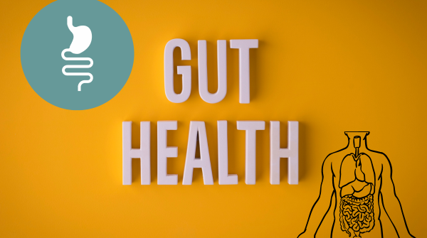 Looking after your gut health – By Dr  Harold Gunatillake