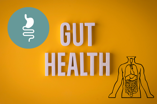 Looking after your gut health – By Dr  Harold Gunatillake