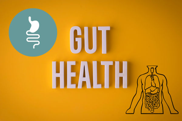 gut health - eLanka