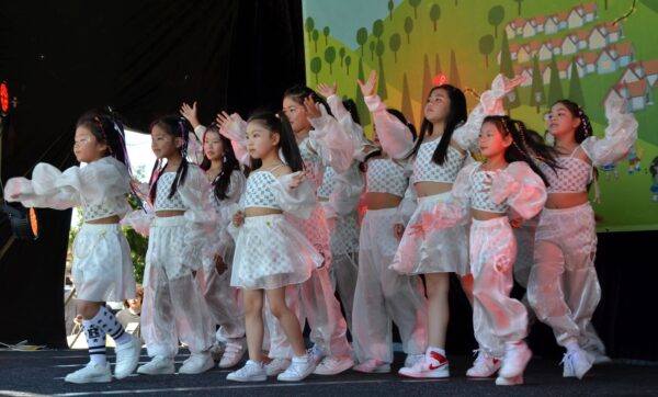 Children’s Festival calls for help