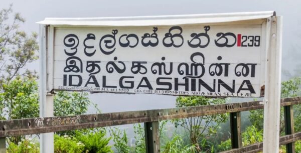Idalgashinna