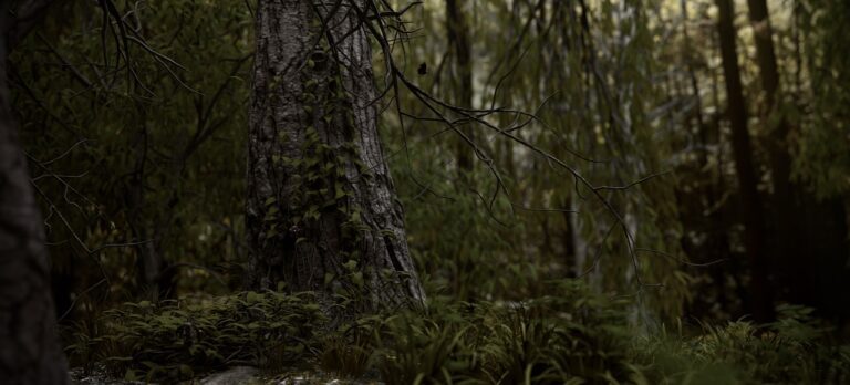 Rukrakaganno’s Ecological Reforestation Project in Singharaja Rainforest-by  Michael Roberts