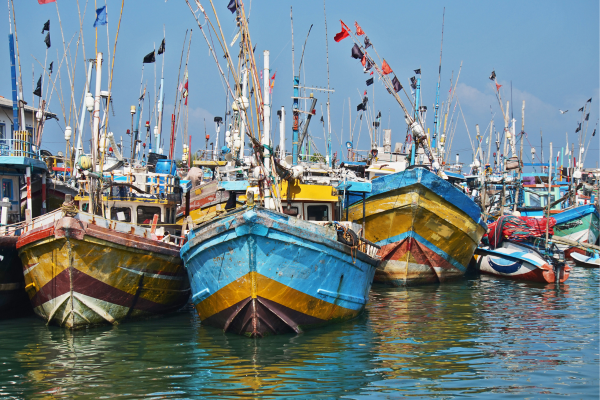 Sri Lanka's Fishing Industry