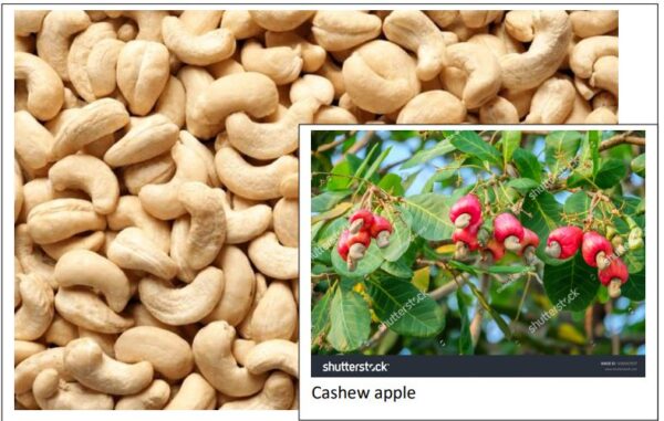 cashews
