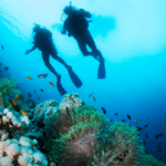 https://adaderanaenglish.s3.amazonaws.com/1709970612-Australia-Great-Barrier-Reef-mass-coral-bleaching-l.jpg