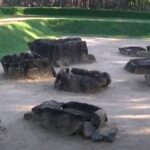 sri lankan history