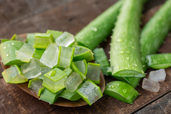 Aloe Vera Benefits: Exploring the Wonders of Nature’s Healing Plant – By Nadeeka – eLanka